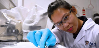 Scientists find toxic bacteria on microplastics retrieved from tropical waters microplastics-researcher-Emily-Curren