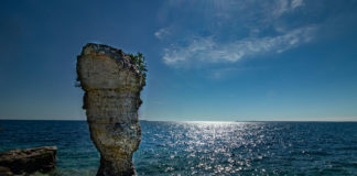 Billions spent on Great Lakes restoration making progress on Areas Of Concern Flowerpot Island in Lake Huron