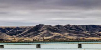 Lake Diefenbaker takes spotlight in new report that touts benefits of expanded irrigation Lake-Diefenbaker
