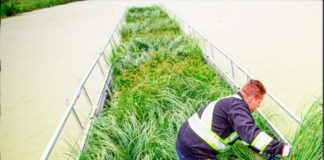 Alberta wastewater innovation and energy use projects highlighted through new pilot funding floating-wetlands-wastewater-pilot