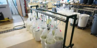 algae-bloom-research-equipment