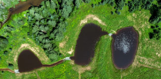 Atlantic_wetland-site