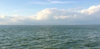 Less wind from climate change may mean larger algal blooms, new research shows