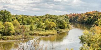 WWTP upgrades cut Grand River ammonia levels, UWaterloo study finds the-grand-river