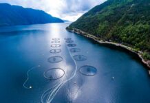 Nature-wide thinking must replace climate tunnel vision
