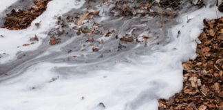 Study shows how PFOS moves, attaches to organic carbon in groundwater