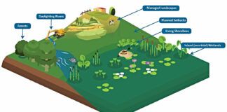 CWWA survey to guide association on next steps for natural infrastructure Natural-Infrastructure-graphic