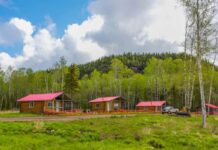 Ontario’s Whitesand First Nation secures long-sought funding for biomass plant