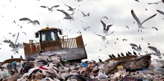Ontario releases landfilling site violations now subject to fine Truck working in landfill with birds in the sky hroephoto