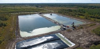lagoon cells