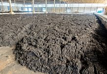 CFIA gives inspection notice for producers, importers to arrange biosolids PFAS lab test CFIA biosolids sludge storage