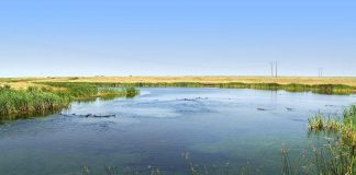 Delivering sustainable solutions to tackle drought in agricultural areas Ducks Unlimited Canada Wetlands