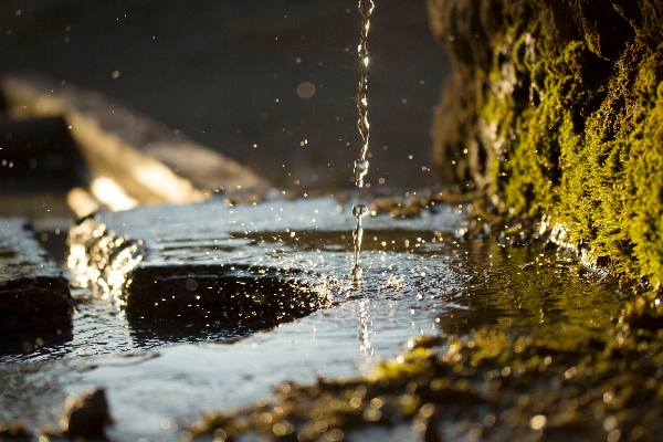 shepherd fountain at sunset groundwater