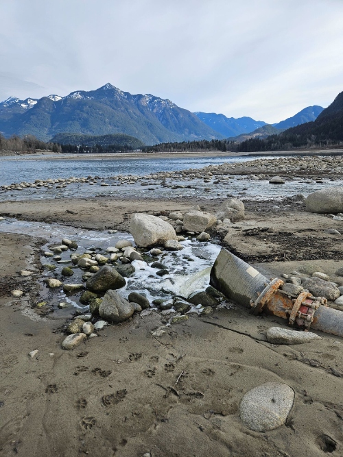 GxC4pICbkAEfnp9 (1) Fraser River