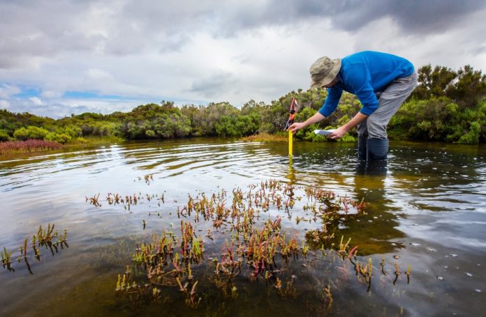 conservation-stock image