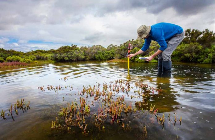 AdobeStock_345026825 (2) water research stock image