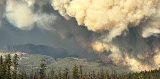 Jasper wastewater lagoon restoration supports post-wildfire rebuilding wildfire-jasper