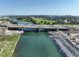 Innovative approach creates fish habitat to compensate for bridge project impacts AE
